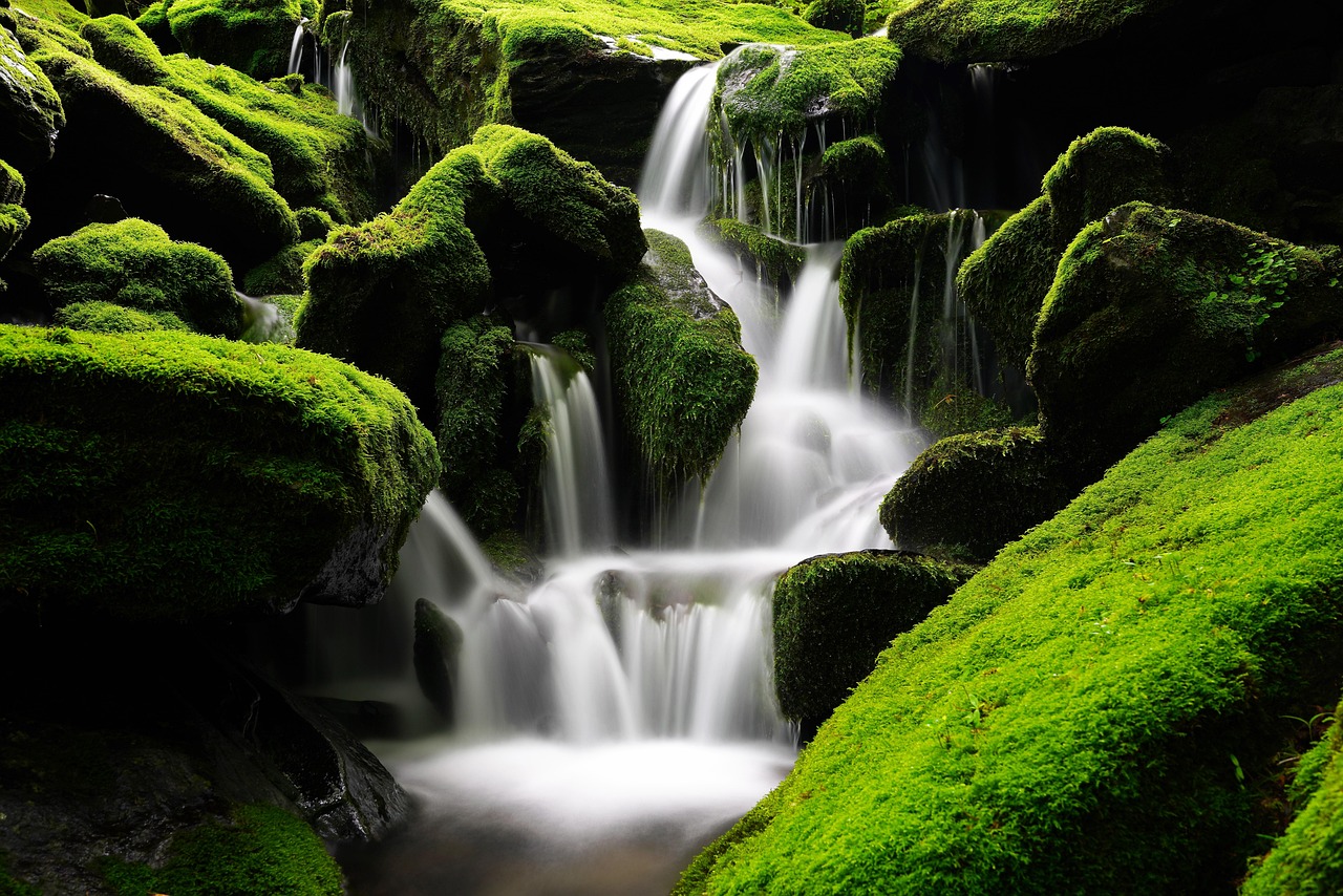Clean Environment