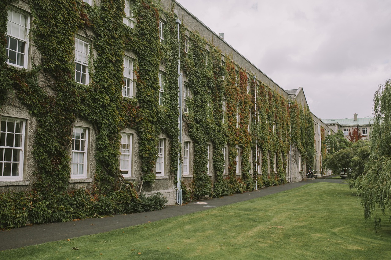 Italy university