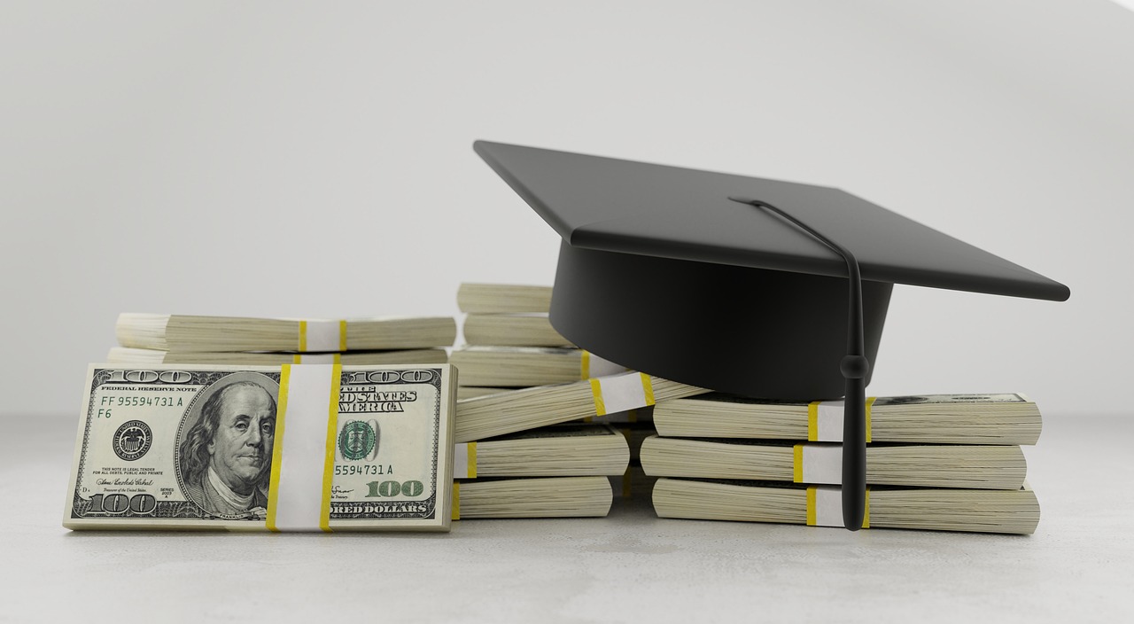 DSU Subsidies