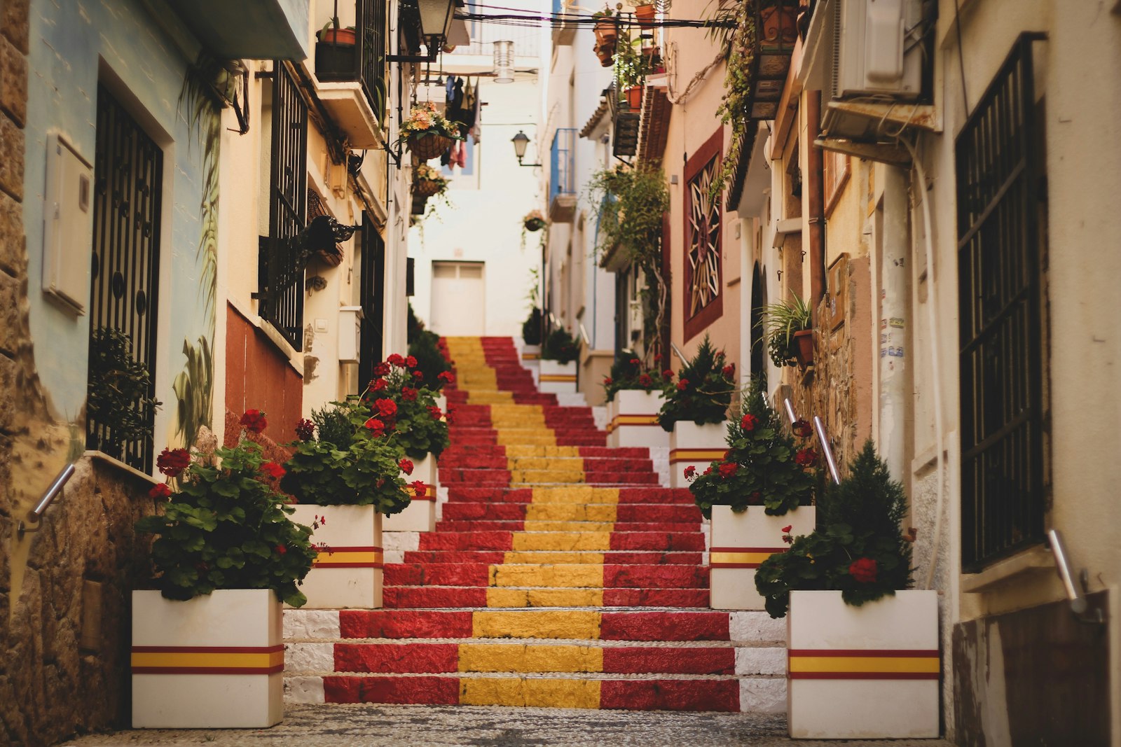 Study in Spain
