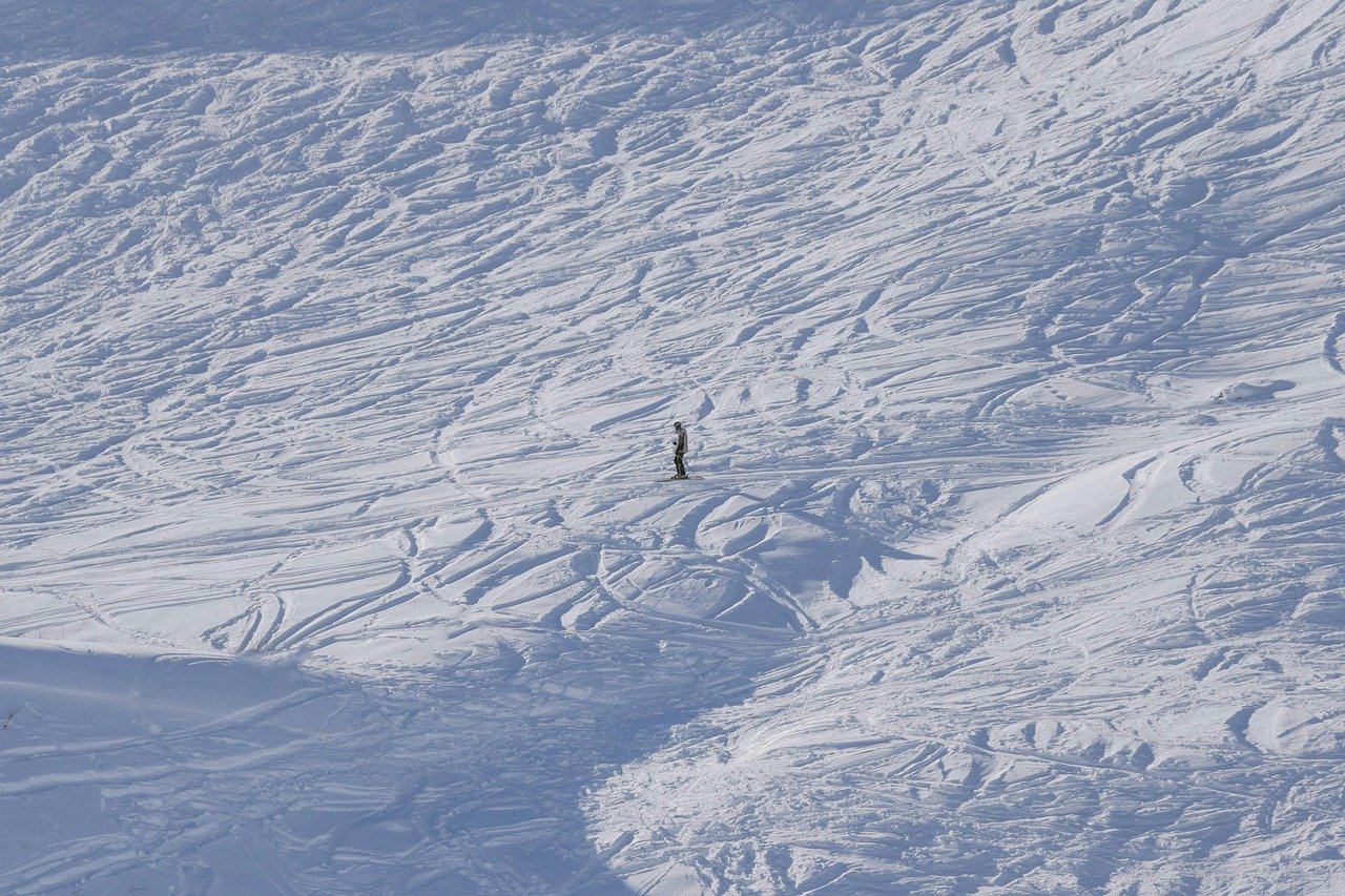 Alpine Activities